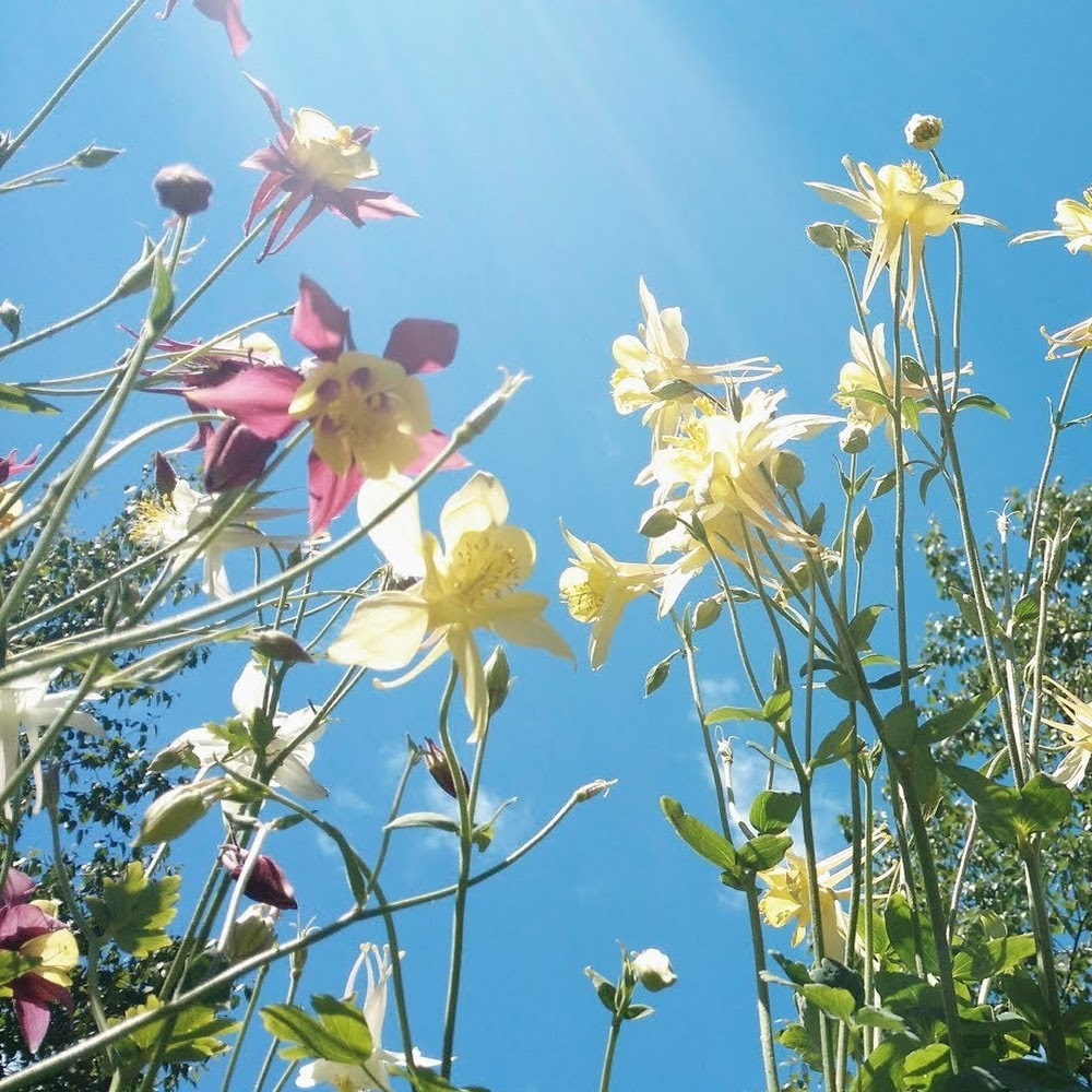 Meet your Posher, Cassandra